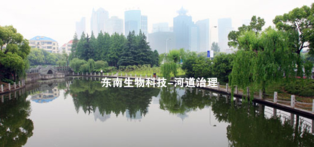 江苏东南生物科技-河道治理