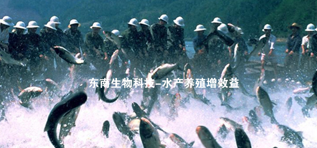 江苏东南生物科技-水产养殖增效益