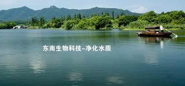 江苏东南生物科技-净化水质
